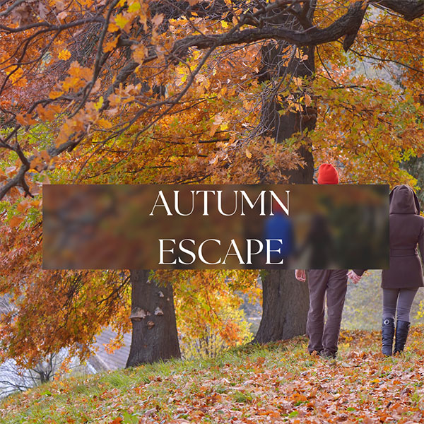 Autumn Escape